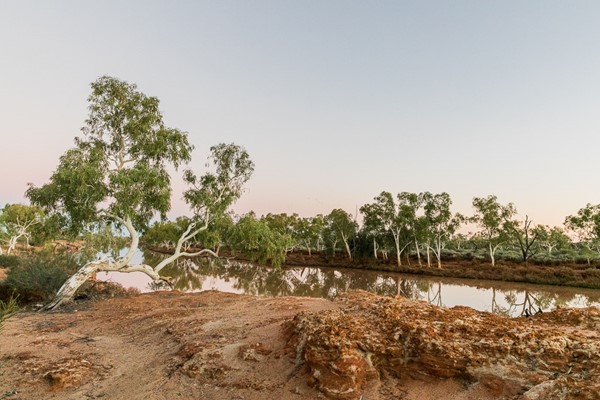 Murchison Landscape - Murchison Outback 5