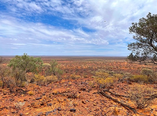 Murchison Landscape - Murchison Outback 6